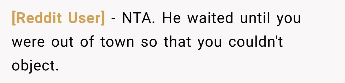 [Reddit User] − NTA. He waited until you were out of town so that you couldn't object.