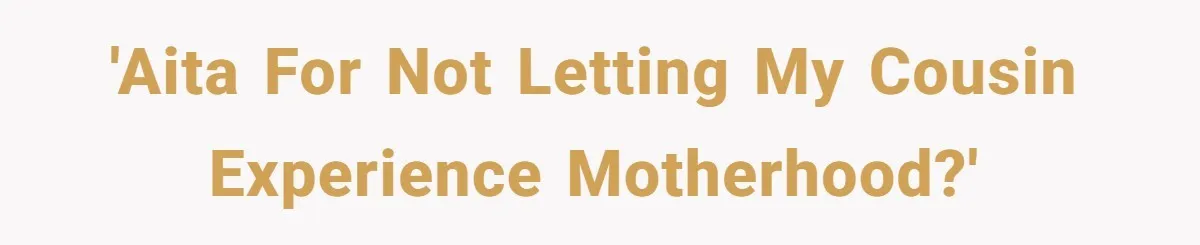 'AITA for not letting my cousin experience motherhood?'