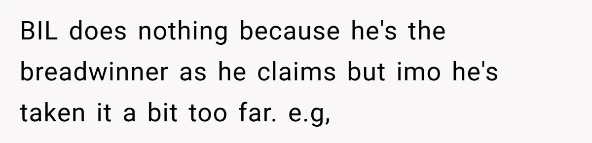 BIL does nothing because he's the breadwinner as he claims but imo he's taken it a bit too far. e.g,