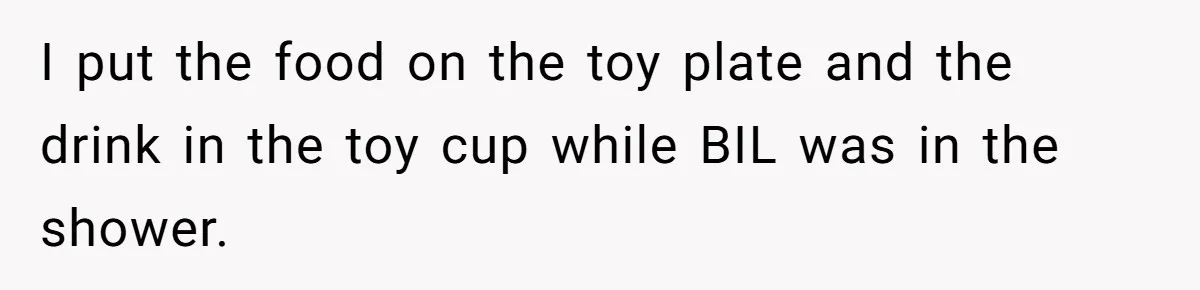 I put the food on the toy plate and the drink in the toy cup while BIL was in the shower.