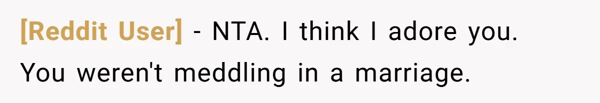 [Reddit User] − NTA. I think I adore you. You weren't meddling in a marriage.