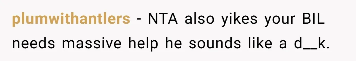 plumwithantlers − NTA also yikes your BIL needs massive help he sounds like a d__k.