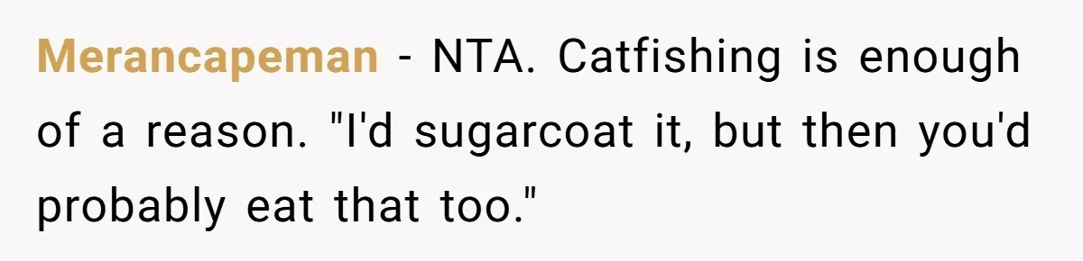 Merancapeman − NTA. Catfishing is enough of a reason. "I'd sugarcoat it, but then you'd probably eat that too."