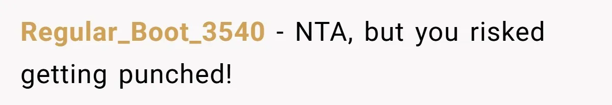 Regular_Boot_3540 − NTA, but you risked getting punched!