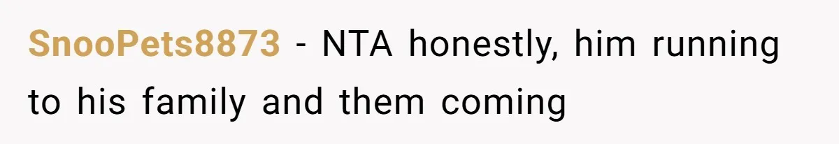 SnooPets8873 − NTA honestly, him running to his family and them coming