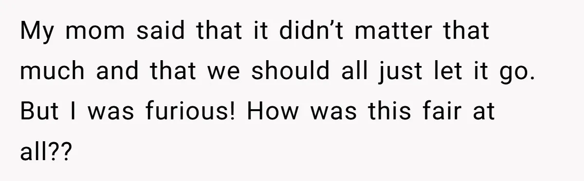 My mom said that it didn’t matter that much and that we should all just let it go. But I was furious! How was this fair at all??