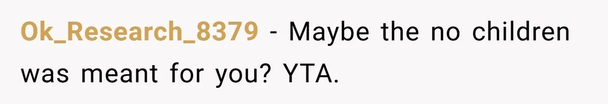 Ok_Research_8379 − Maybe the no children was meant for you? YTA.