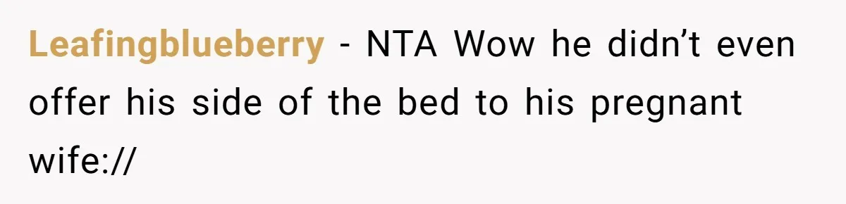 Leafingblueberry − NTA Wow he didn’t even offer his side of the bed to his pregnant wife://