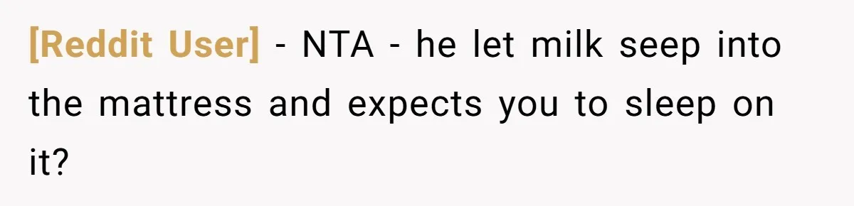 [Reddit User] − NTA - he let milk seep into the mattress and expects you to sleep on it?