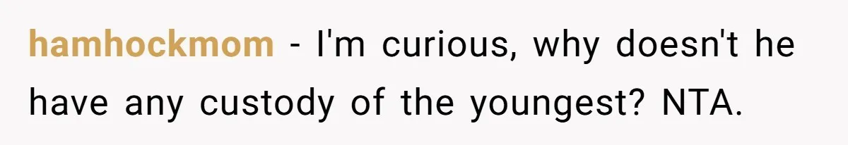 hamhockmom − I'm curious, why doesn't he have any custody of the youngest? NTA.