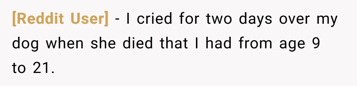 [Reddit User] − I cried for two days over my dog when she died that I had from age 9 to 21.