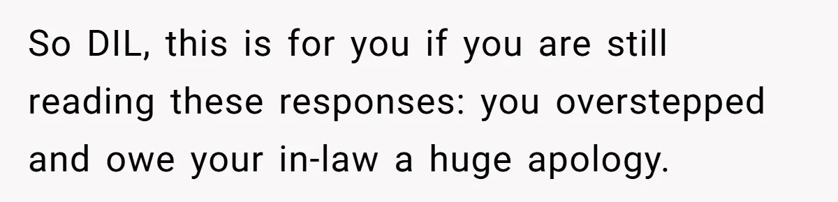 So DIL, this is for you if you are still reading these responses: you overstepped and owe your in-law a huge apology.