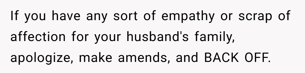 If you have any sort of empathy or scrap of affection for your husband's family, apologize, make amends, and BACK OFF.