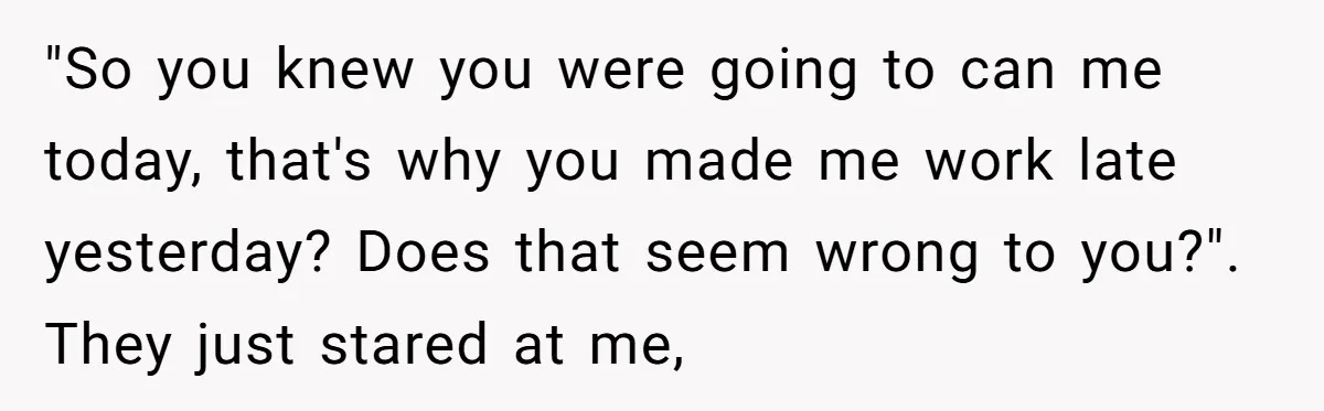 "So you knew you were going to can me today, that's why you made me work late yesterday? Does that seem wrong to you?". They just stared at me,