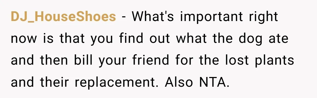 DJ_HouseShoes − What's important right now is that you find out what the dog ate and then bill your friend for the lost plants and their replacement. Also NTA.