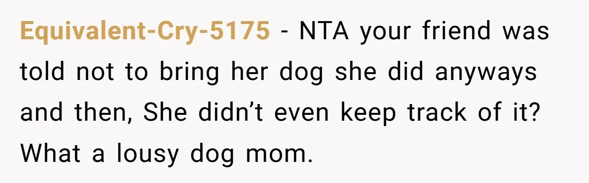 Equivalent-Cry-5175 − NTA your friend was told not to bring her dog she did anyways and then, She didn’t even keep track of it? What a lousy dog mom.