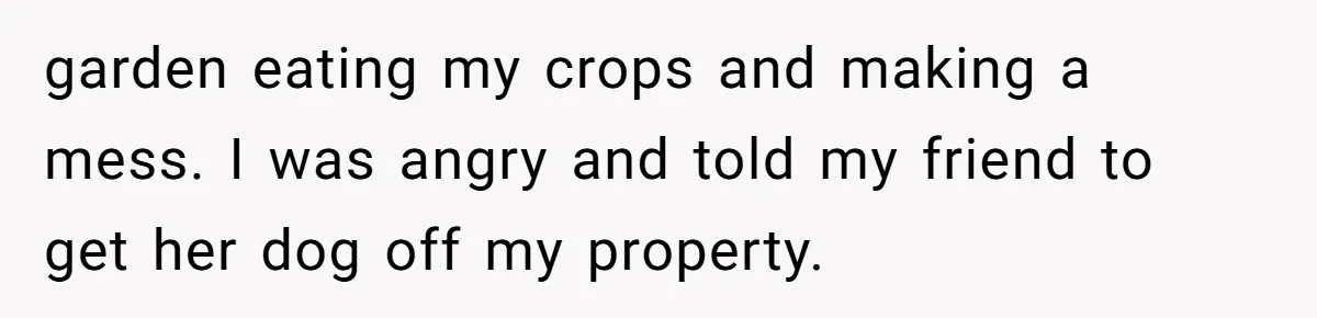 garden eating my crops and making a mess. I was angry and told my friend to get her dog off my property.
