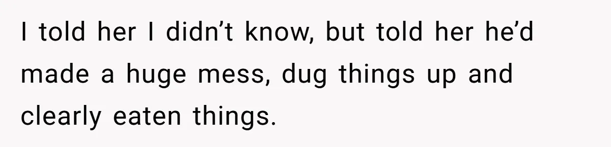 I told her I didn’t know, but told her he’d made a huge mess, dug things up and clearly eaten things.