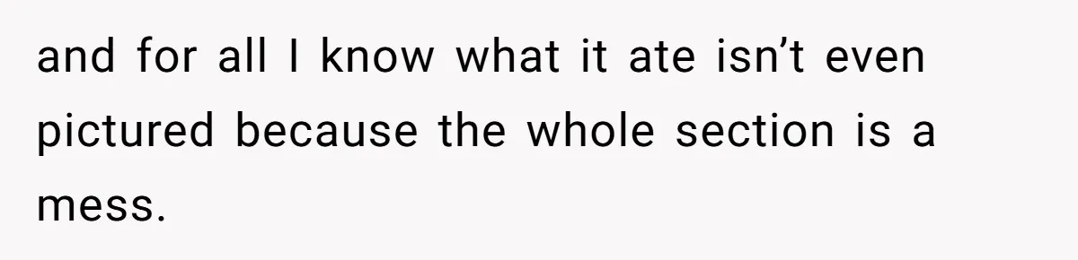 and for all I know what it ate isn’t even pictured because the whole section is a mess.