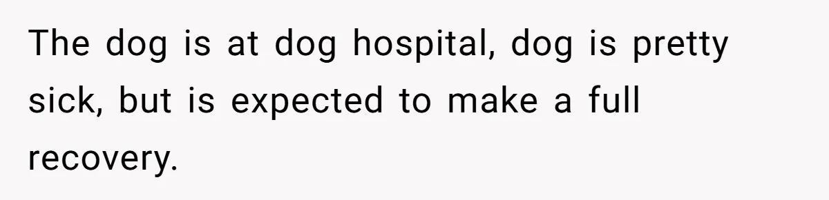 The dog is at dog hospital, dog is pretty sick, but is expected to make a full recovery.
