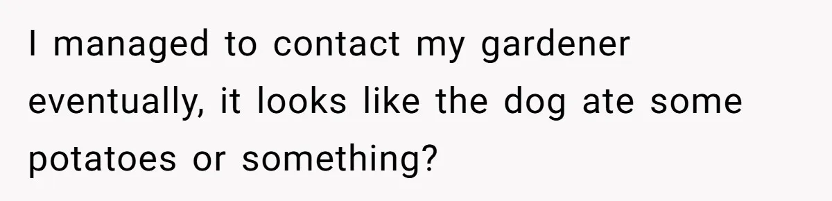 I managed to contact my gardener eventually, it looks like the dog ate some potatoes or something?