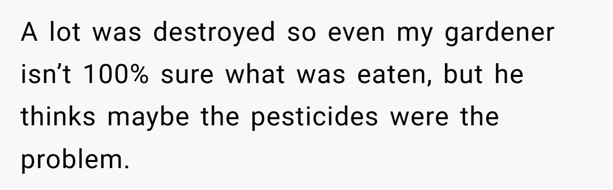 A lot was destroyed so even my gardener isn’t 100% sure what was eaten, but he thinks maybe the pesticides were the problem.