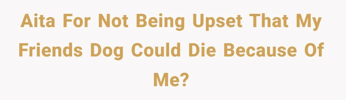 AITA for not being upset that my friends dog could die because of me?