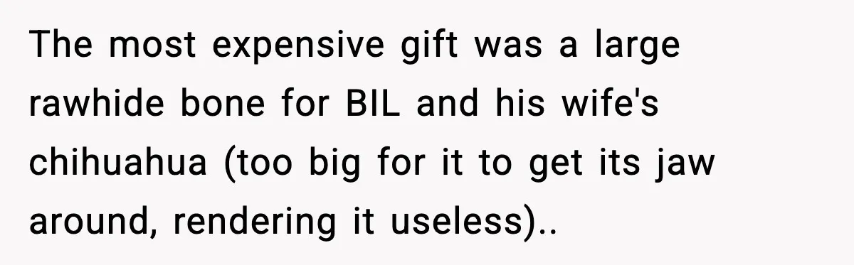 The most expensive gift was a large rawhide bone for BIL and his wife's chihuahua (too big for it to get its jaw around, rendering it useless)..