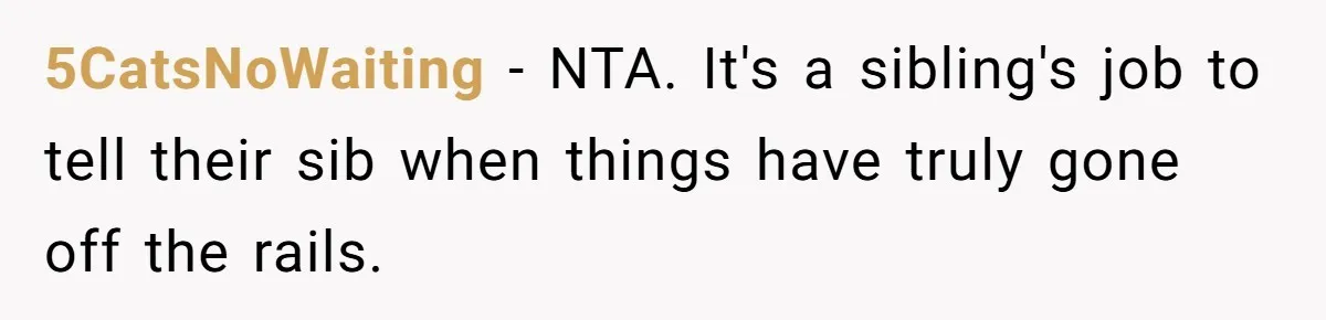 5CatsNoWaiting − NTA. It's a sibling's job to tell their sib when things have truly gone off the rails.