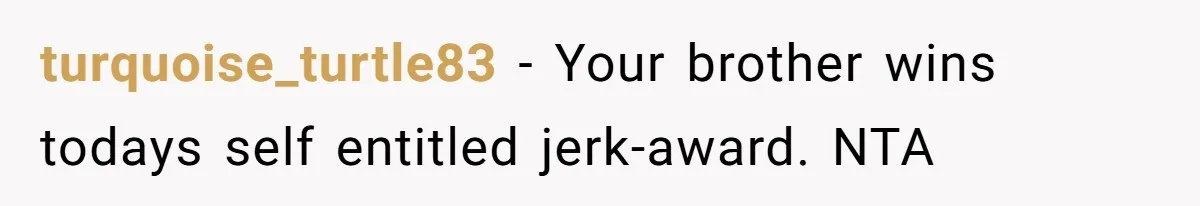 turquoise_turtle83 − Your brother wins todays self entitled jerk-award. NTA