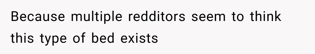 Couple Leaves Family Vacation After MIL Refuses To Give Them A Shared Bed Because multiple redditors seem to think this type of bed exists