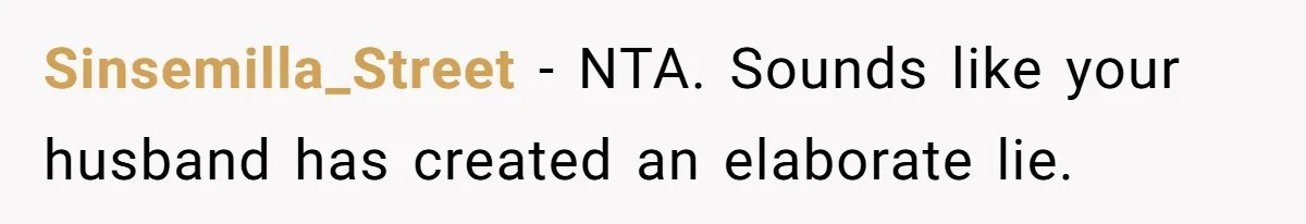 Sinsemilla_Street - NTA. Sounds like your husband has created an elaborate lie.