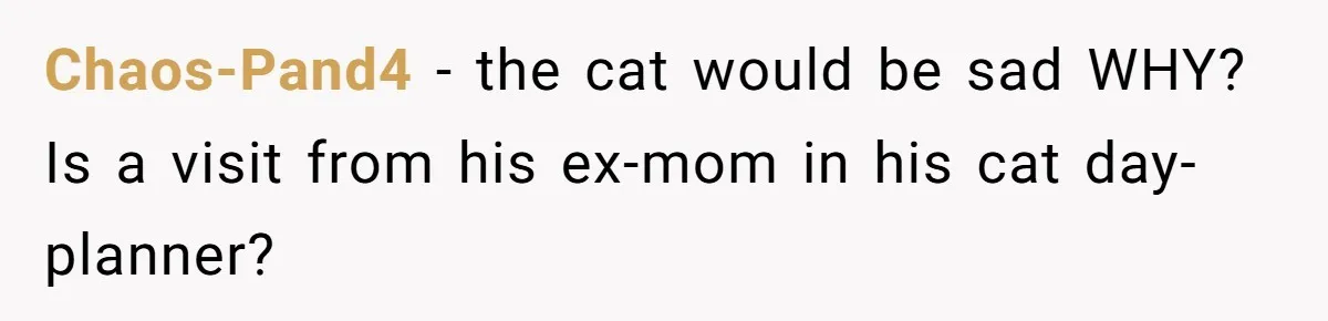 Chaos-Pand4 - the cat would be sad WHY? Is a visit from his ex-mom in his cat day-planner?