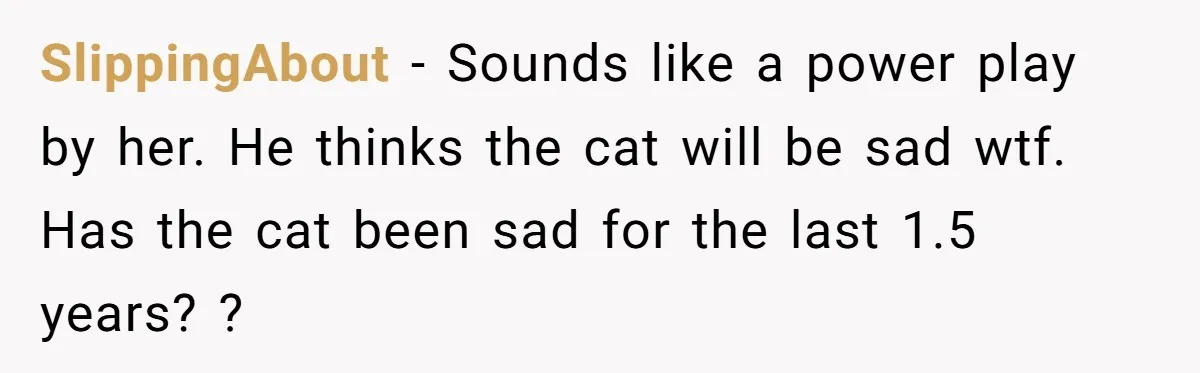 SlippingAbout - Sounds like a power play by her. He thinks the cat will be sad wtf. Has the cat been sad for the last 1.5 years? ?