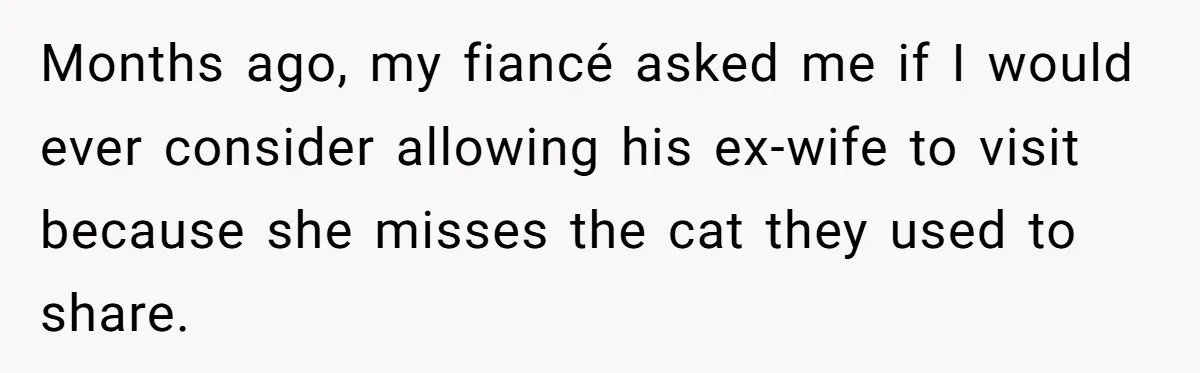 Months ago, my fiancé asked me if I would ever consider allowing his ex-wife to visit because she misses the cat they used to share.