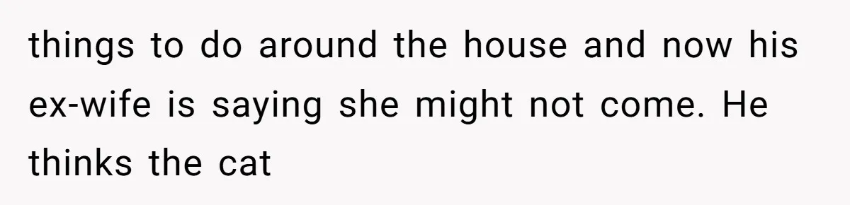things to do around the house and now his ex-wife is saying she might not come. He thinks the cat