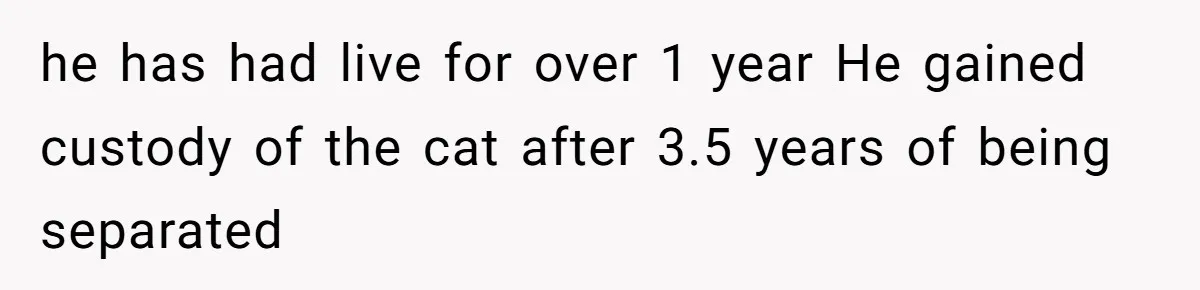 he has had live for over 1 year He gained custody of the cat after 3.5 years of being separated