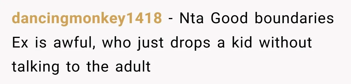dancingmonkey1418 − Nta Good boundaries Ex is awful, who just drops a kid without talking to the adult