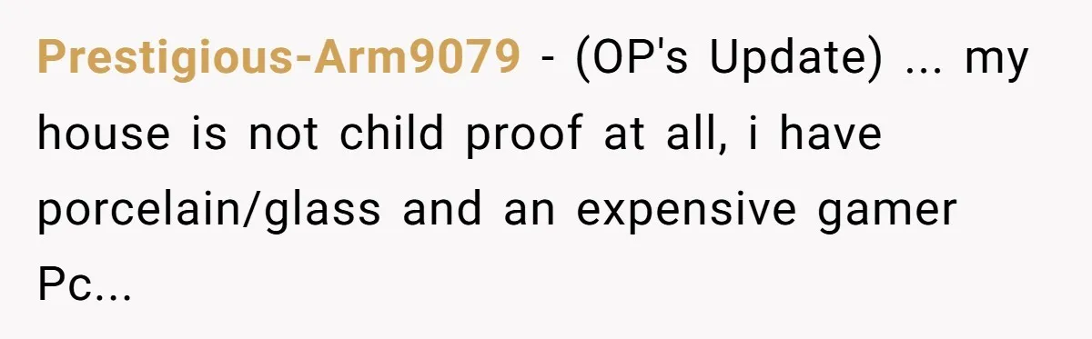 Prestigious-Arm9079 − (OP's Update) ... my house is not child proof at all, i have porcelain/glass and an expensive gamer Pc...