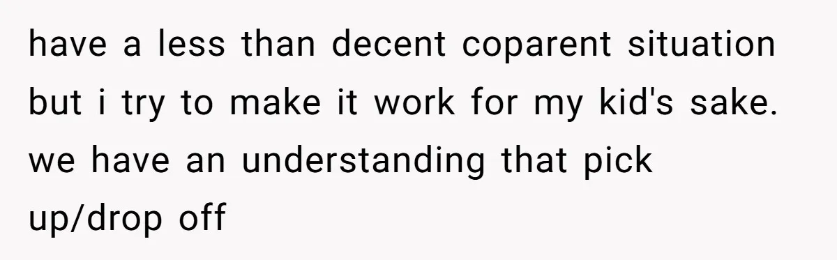 have a less than decent coparent situation but i try to make it work for my kid's sake. we have an understanding that pick up/drop off