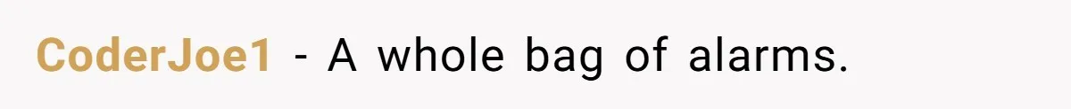 CoderJoe1 − A whole bag of alarms.