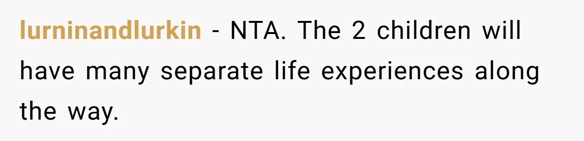 lurninandlurkin − NTA. The 2 children will have many separate life experiences along the way.