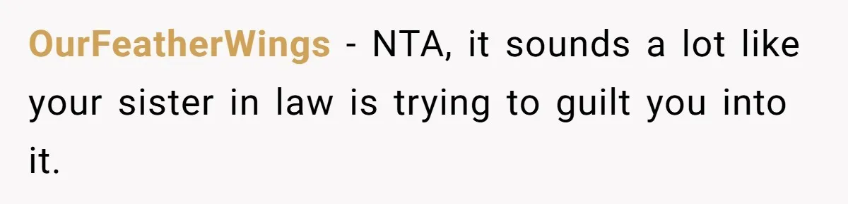 OurFeatherWings − NTA, it sounds a lot like your sister in law is trying to guilt you into it.