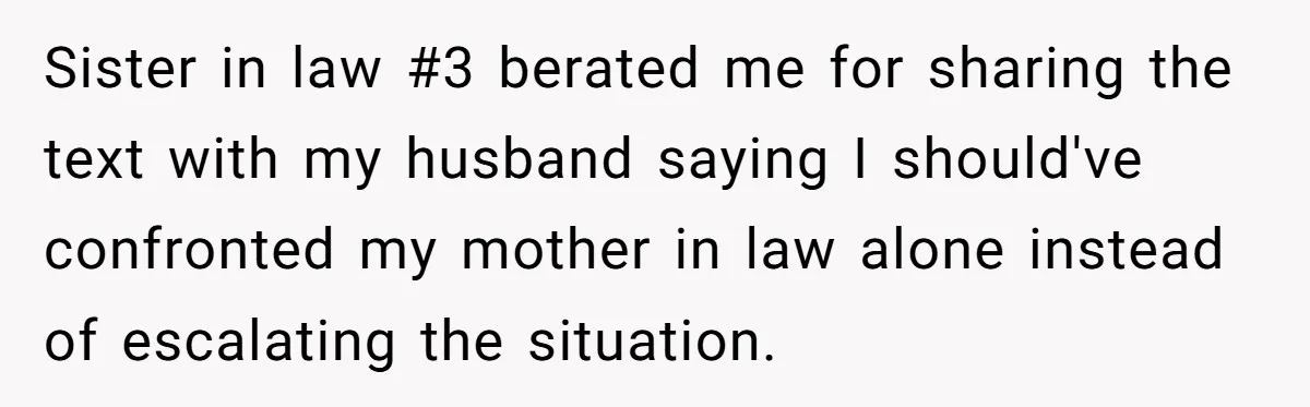 Sister in law #3 berated me for sharing the text with my husband saying I should've confronted my mother in law alone instead of escalating the situation.