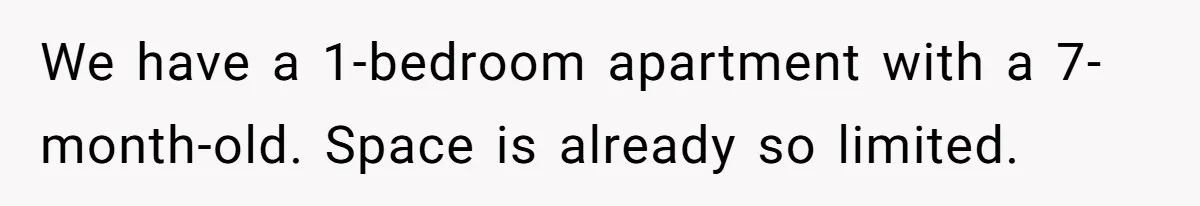 We have a 1-bedroom apartment with a 7-month-old. Space is already so limited.