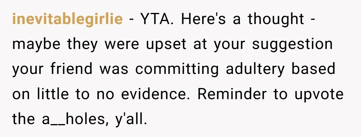 inevitablegirlie − YTA. Here's a thought - maybe they were upset at your suggestion your friend was committing adultery based on little to no evidence. Reminder to upvote the a__holes,...