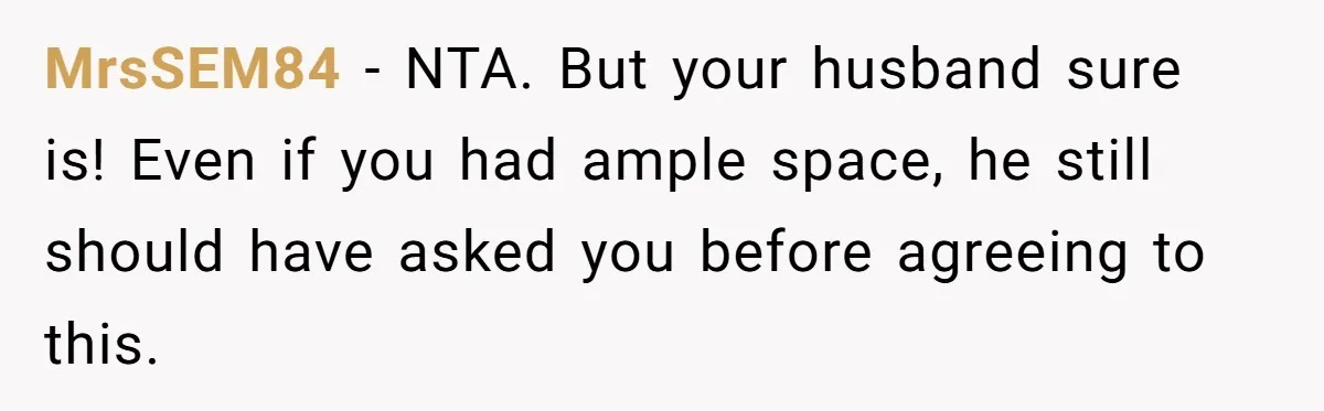 MrsSEM84 − NTA. But your husband sure is! Even if you had ample space, he still should have asked you before agreeing to this.
