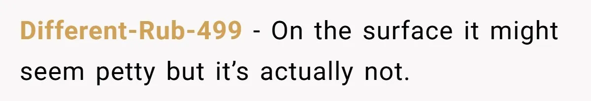 Different-Rub-499 − On the surface it might seem petty but it’s actually not.
