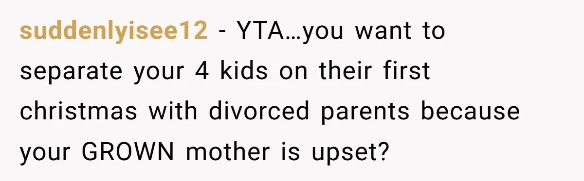 suddenlyisee12 - YTA…you want to separate your 4 kids on their first christmas with divorced parents because your GROWN mother is upset?
