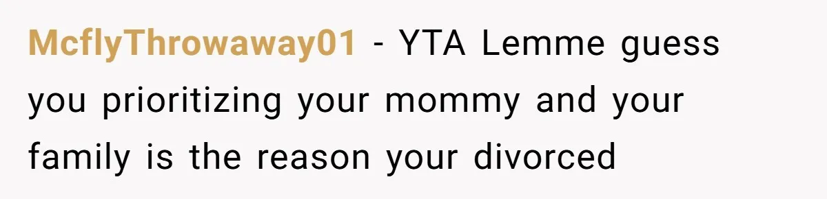 McflyThrowaway01 - YTA Lemme guess you prioritizing your mommy and your family is the reason your divorced
